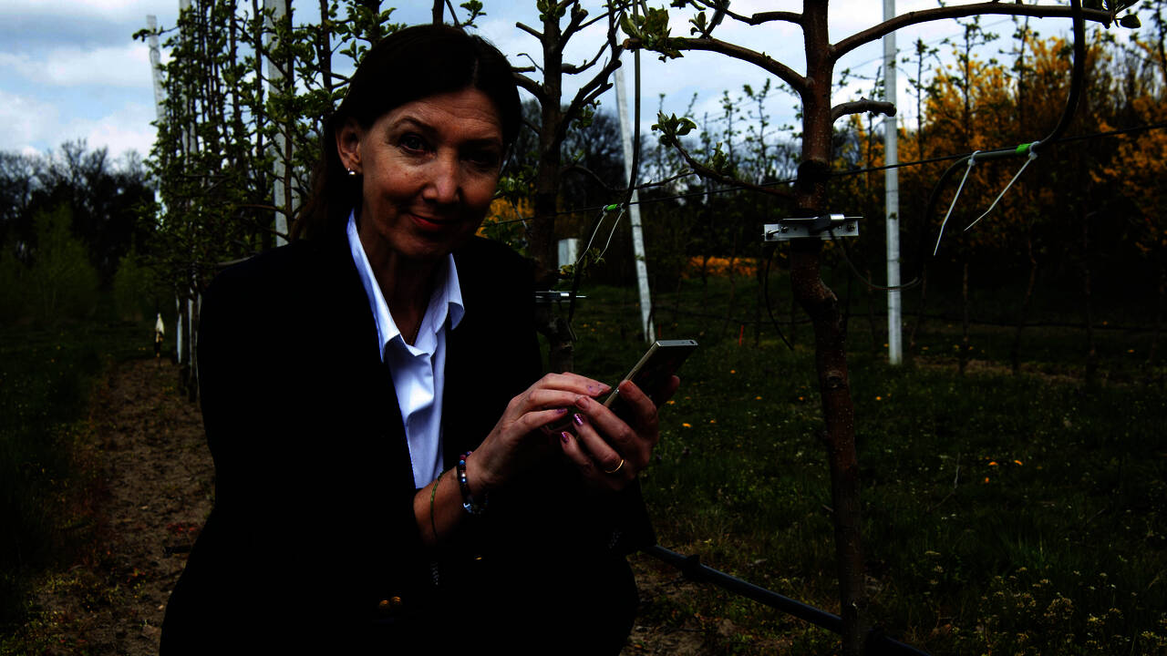 Hier kommt eine Menge Kompetenz zusammen